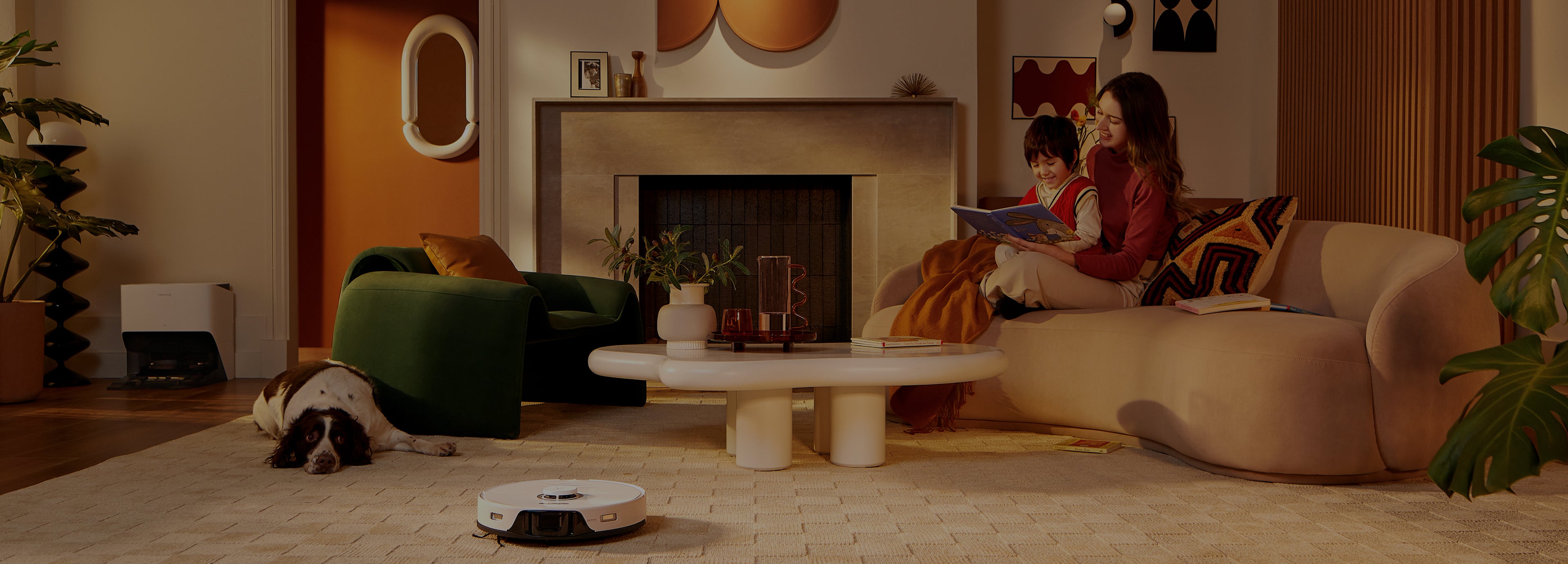 Roborock intelligent robot vacuums This is a image